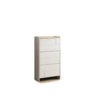 Simple and fashionable line design, large capacity wooden color matching shoe cabinet
